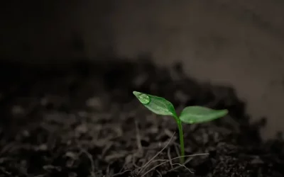 A win for Taxpayers : Proposal for Intermediated Money Transfer Tax (IMTT) deductible for Corporate Income Tax