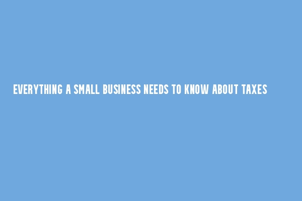 Everything a small business needs to know about taxes in Zimbabwe.