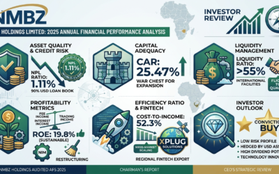 NMBZ Holdings Limited: 2025 Annual Financial Performance Analysis