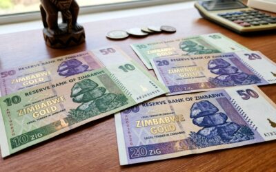 RBZ Monetary and Liquidity Analysis (October 2026)