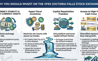 Why you should Invest on the VFEX